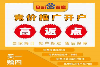 百度竞价广告的投放策略及某行业案例剖析